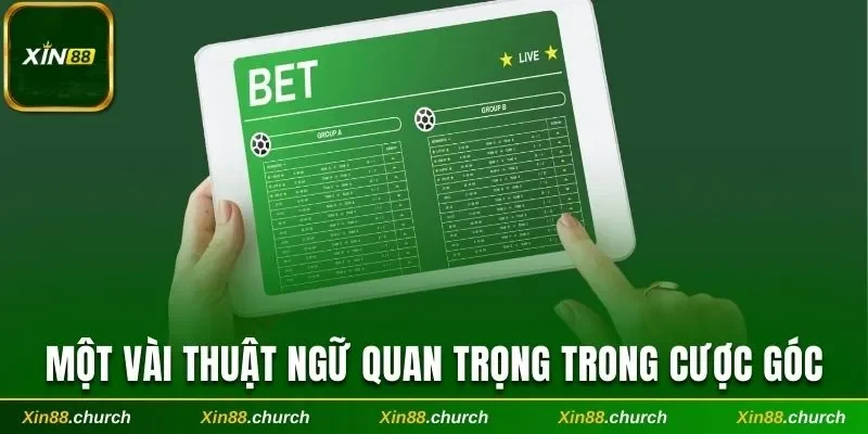 Một vài thuật ngữ quan trọng trong cược góc